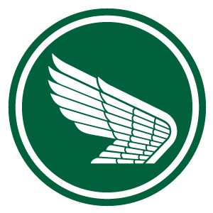 Wings - PNG 8